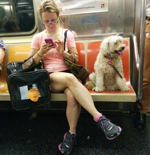 The Most Inconsiderate Human In The NYC Subway System - Gaze upon this one human