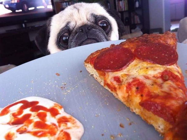 The most intense look of love and desire one can have