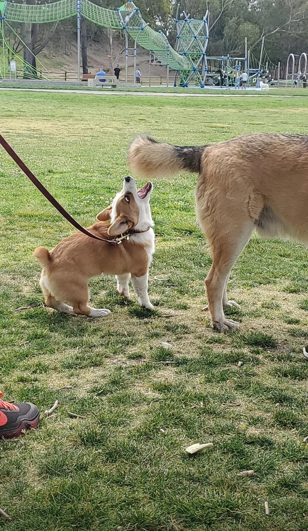 The most picture perfect photo Ive taken