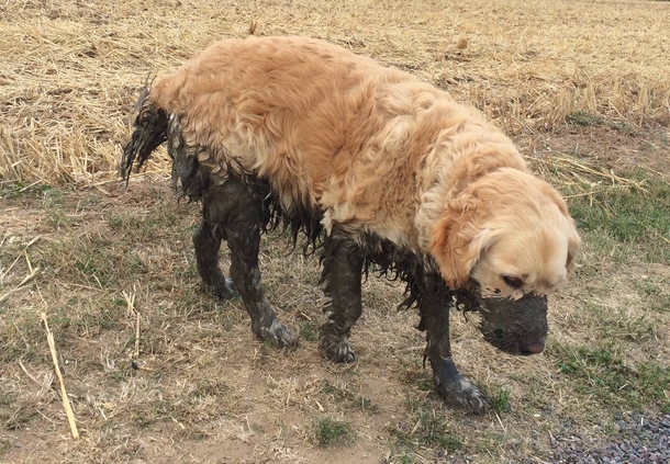 The mud was a little deep
