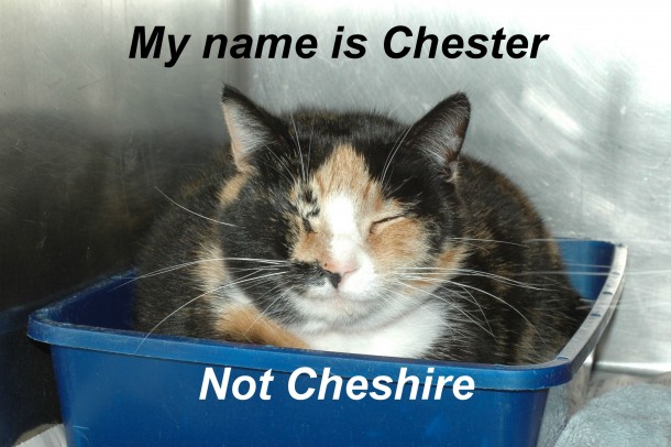 The names Chester not Cheshire