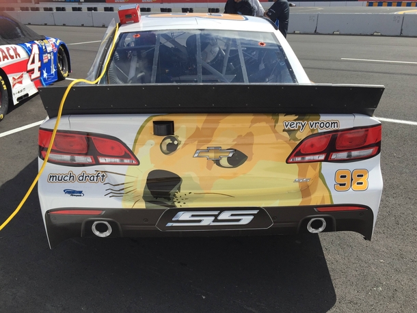 The NASCAR Dogecar is rolling this weekend
