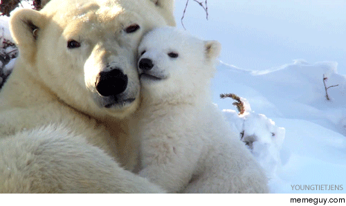 The natural love bond