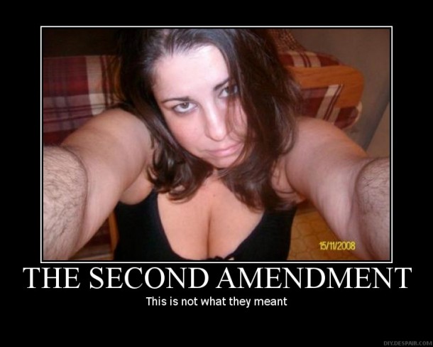 The nd amendment 