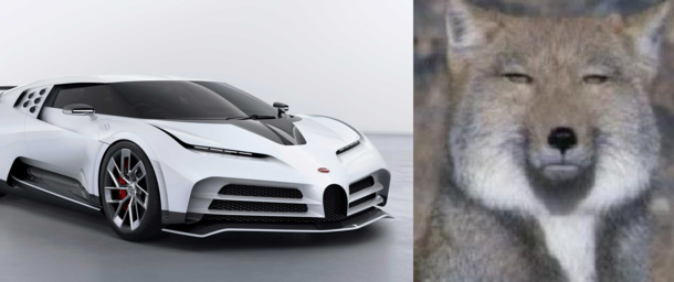 The new Bugatti spirit animal
