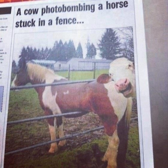 The news here in Australia