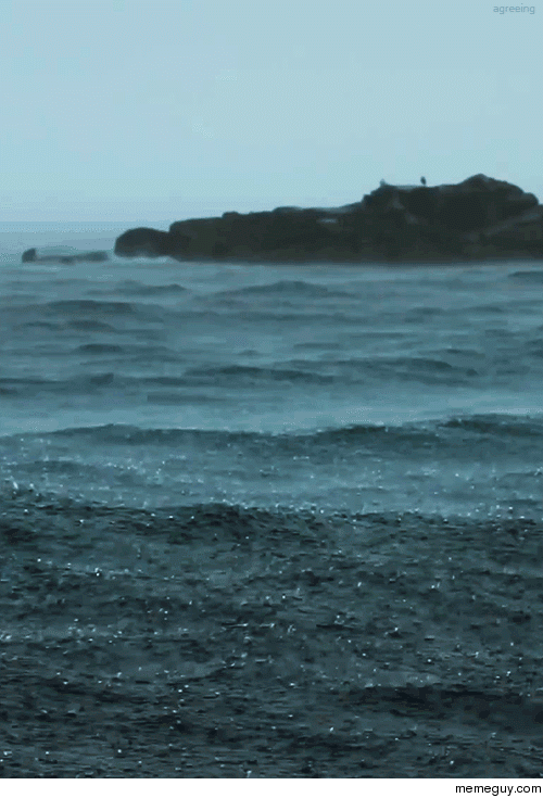 the ocean