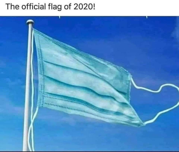 The official flag of 
