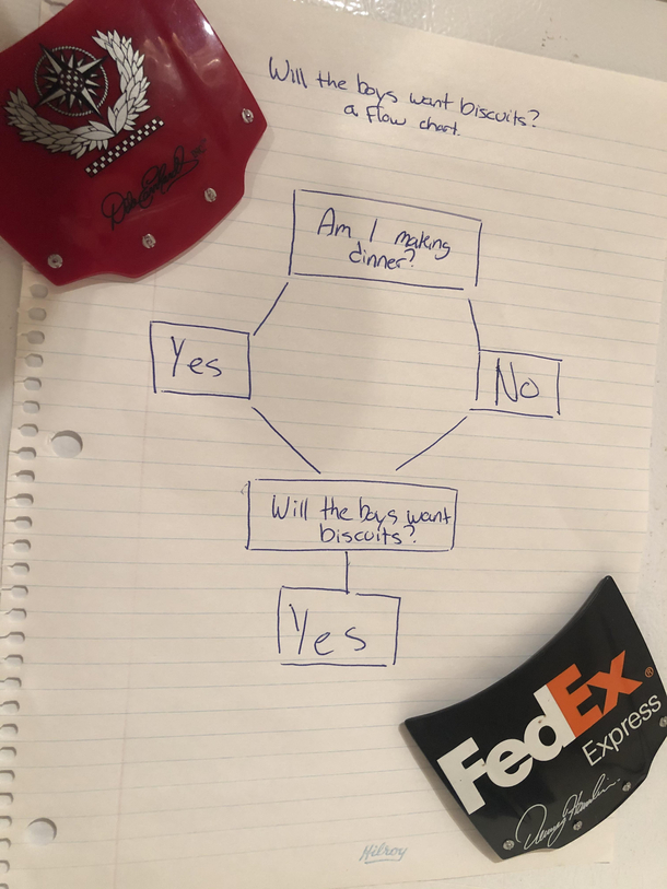 The old man and I like biscuits I made this flow chart for my mother