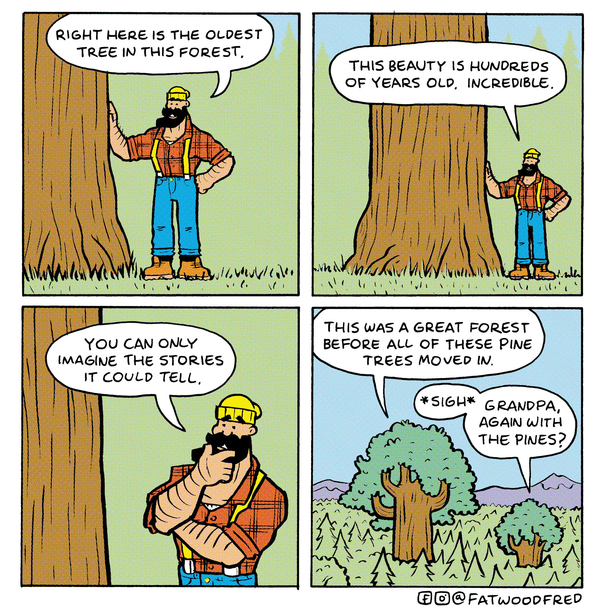 The oldest tree