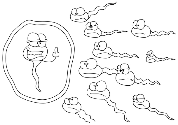 The one race we all won