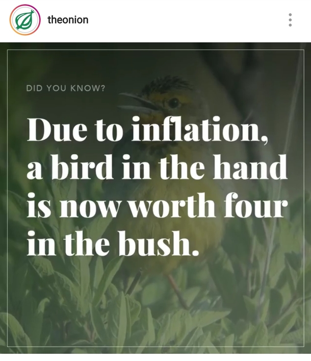 The Onion always gets me