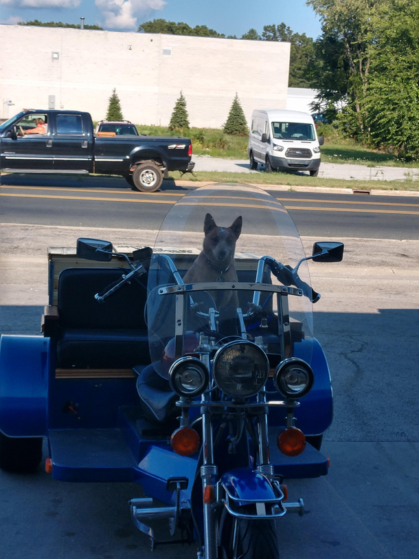 The owner of this bike Id like to join your gang