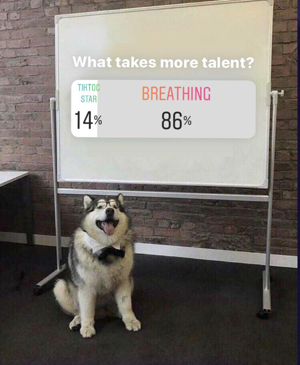 The people have spoken