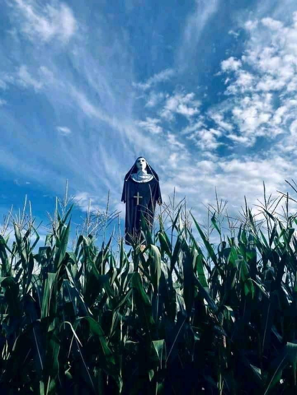 The Perfect Scarecrow