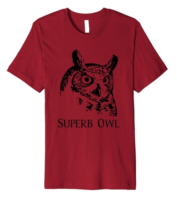 The perfect shirt to wear to a Superbowl party