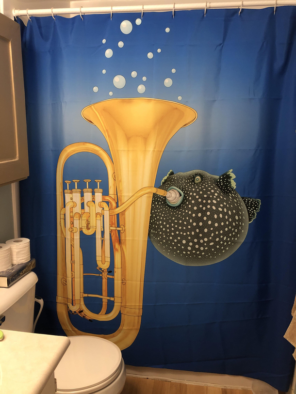 The perfect shower curtain doesnt exis