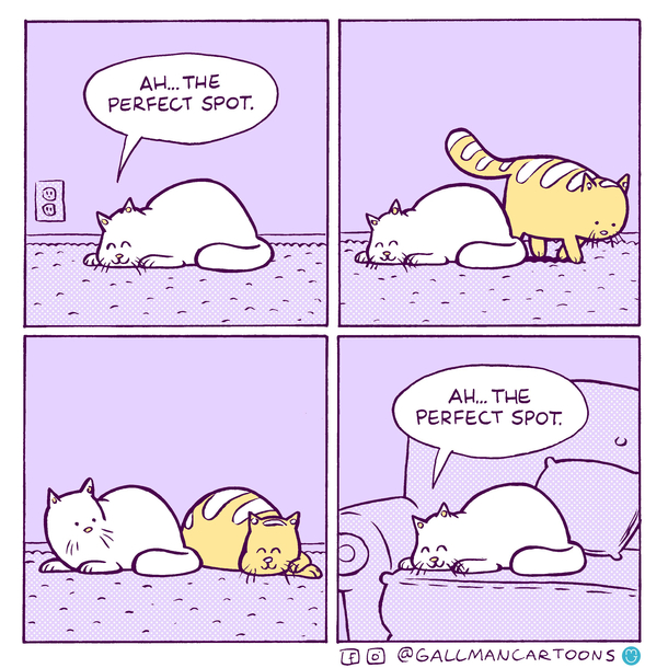 The Perfect Spot