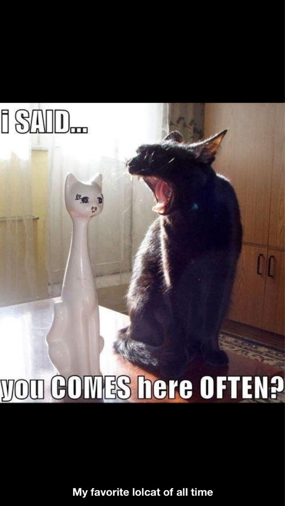 The pic that brought me to Reddit Still cracks me up
