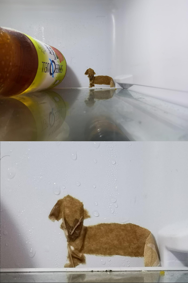 The piece of paper that is frozen to the back of my fridge looks like a wiener dog