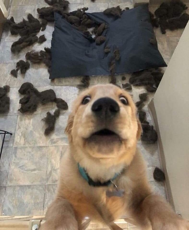 The pillow just EXPLODED Mom