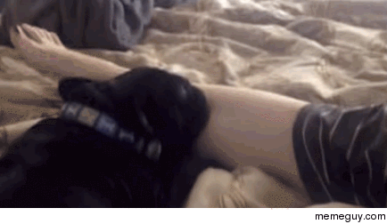 The Pillow Keeps Moving