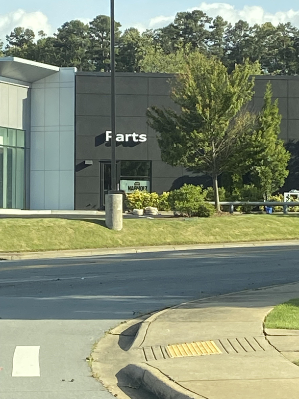The placement of this light pole in front of this dealership is my favorite part of my work commute