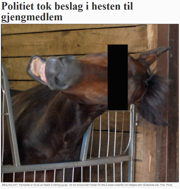 The police confiscated a gang members horse This was the pic used in a newspaper