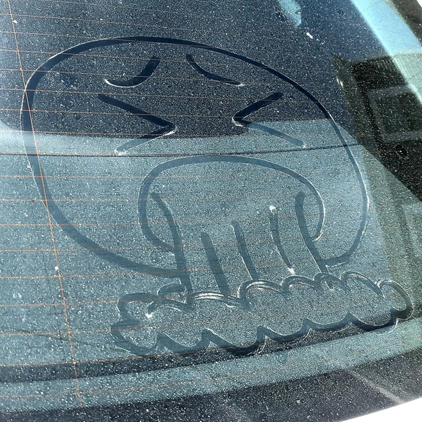 The pollen on my car is making me sick 
