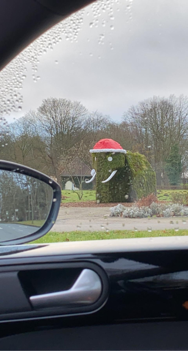 The poor thing looks like it has seen some wild shit going on