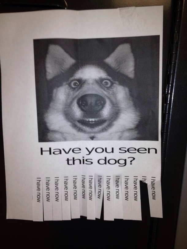 The post that brought me to reddit