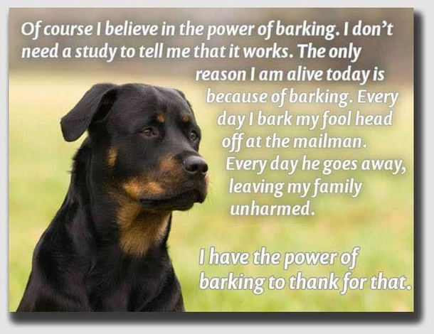 The Power of Bark