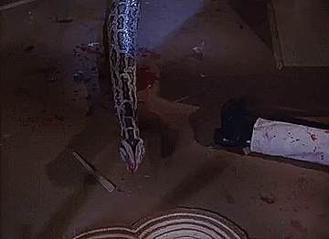 The proper way to deal with snakes
