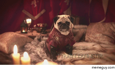 The Pugs of Westeros