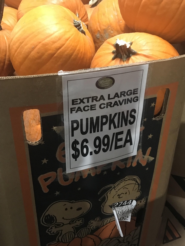 The pumpkins at my local grocery store have an unholy desire