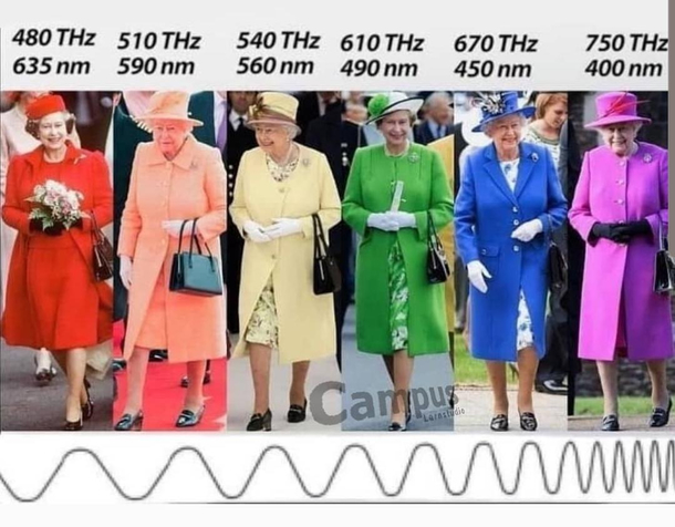 The Queens Dresses