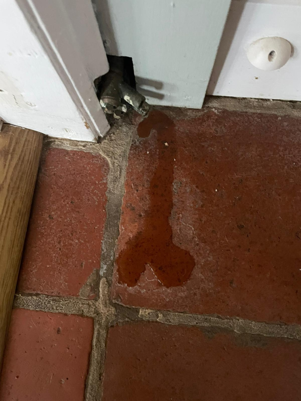 The radiator in my house had a wee bit of a leak this morning