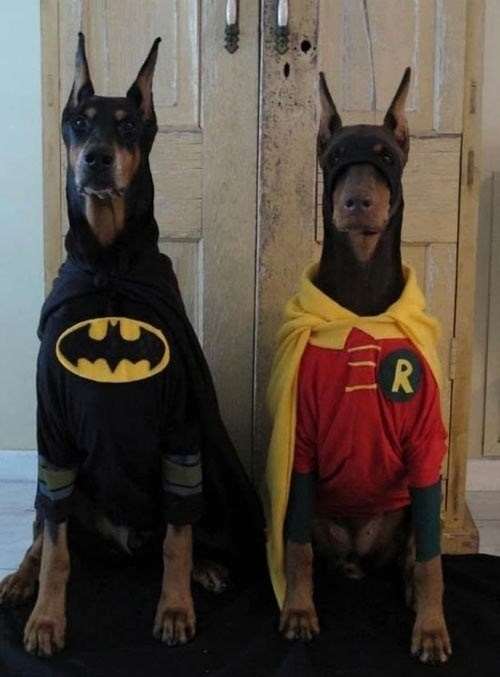 The real heroes Gotham need