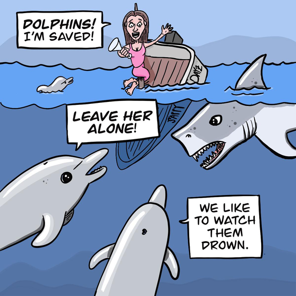 The real reason dolphins protect humans from sharks