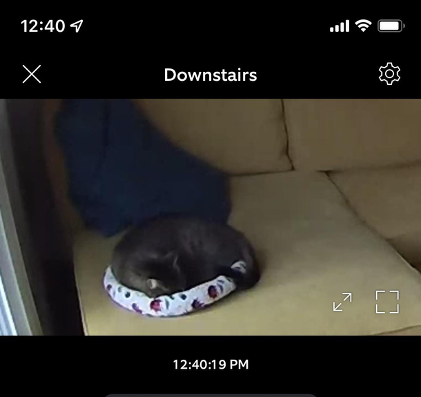 The real reason I got a home security system