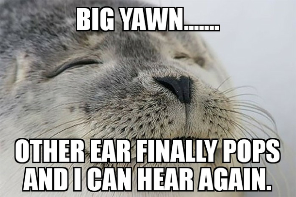 The real reason I hate flying  days later