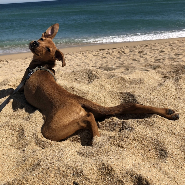 The real son of a beach
