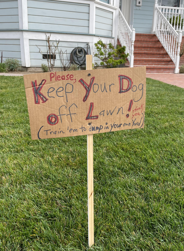 The really nice and quiet old lady across the street has no patience for your dog poop
