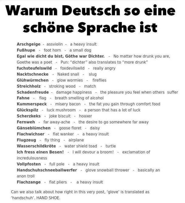 The reason why german is the best language