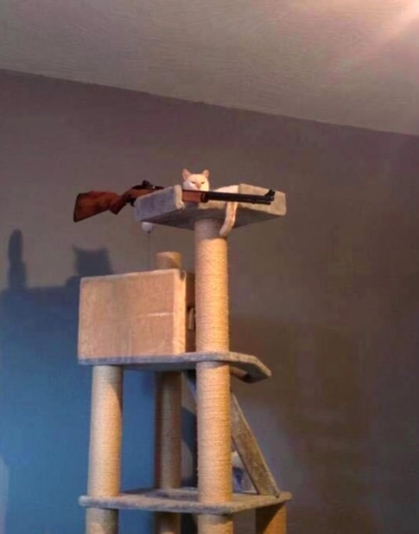 The rebellion has begun