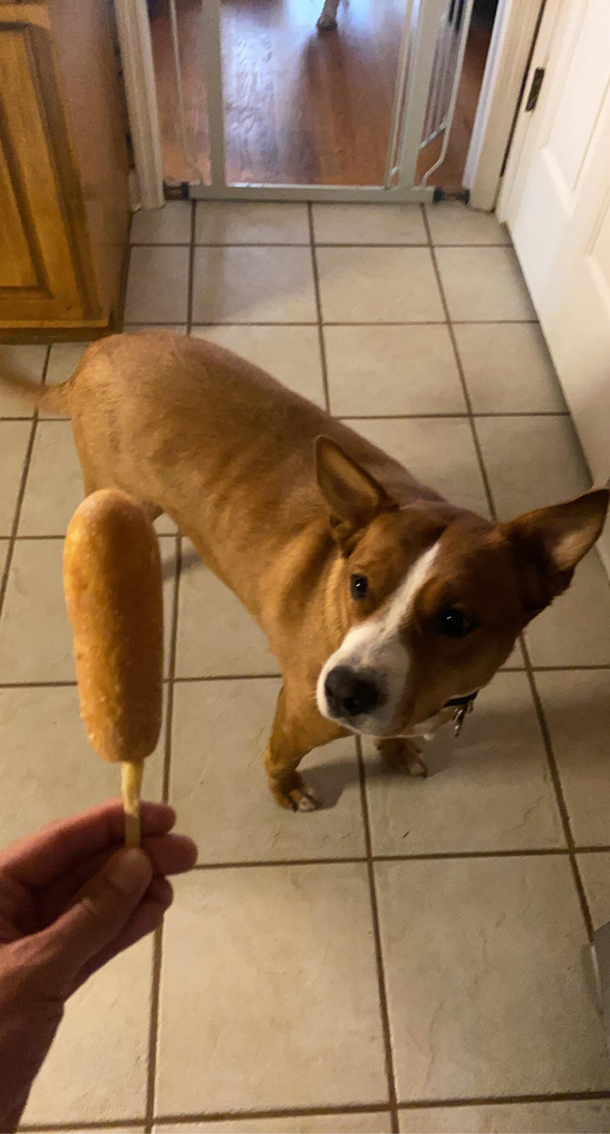 The resemblance is uncanny