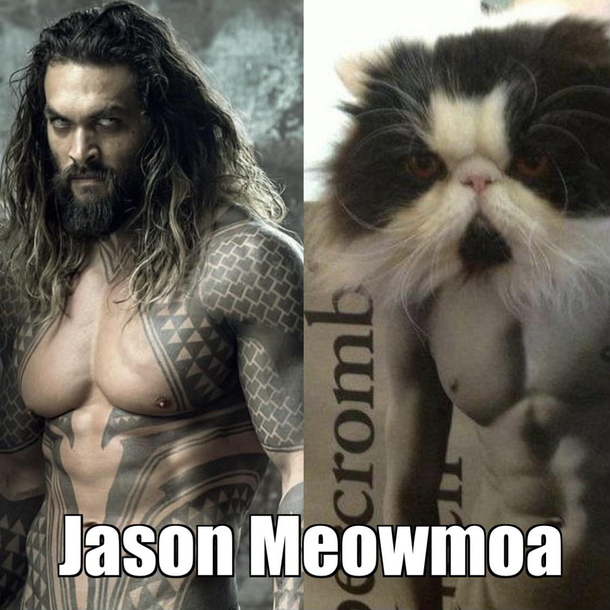 The resemblance is uncanny