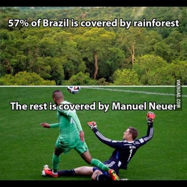 The rest is covered by the best every position goalie