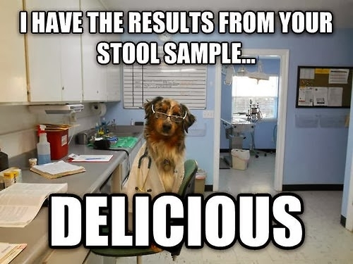 The results of your stool sample are in