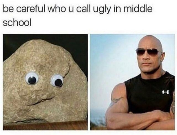 The rock - Meme Guy